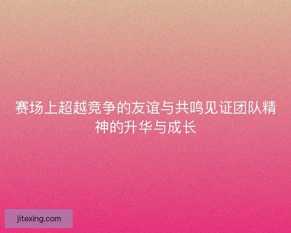 赛场上超越竞争的友谊与共鸣见证团队精神的升华与成长