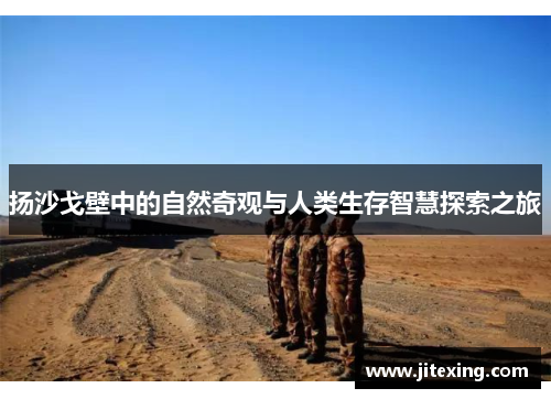 扬沙戈壁中的自然奇观与人类生存智慧探索之旅