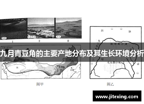九月青豆角的主要产地分布及其生长环境分析